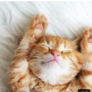 Meet your Posher, Linda